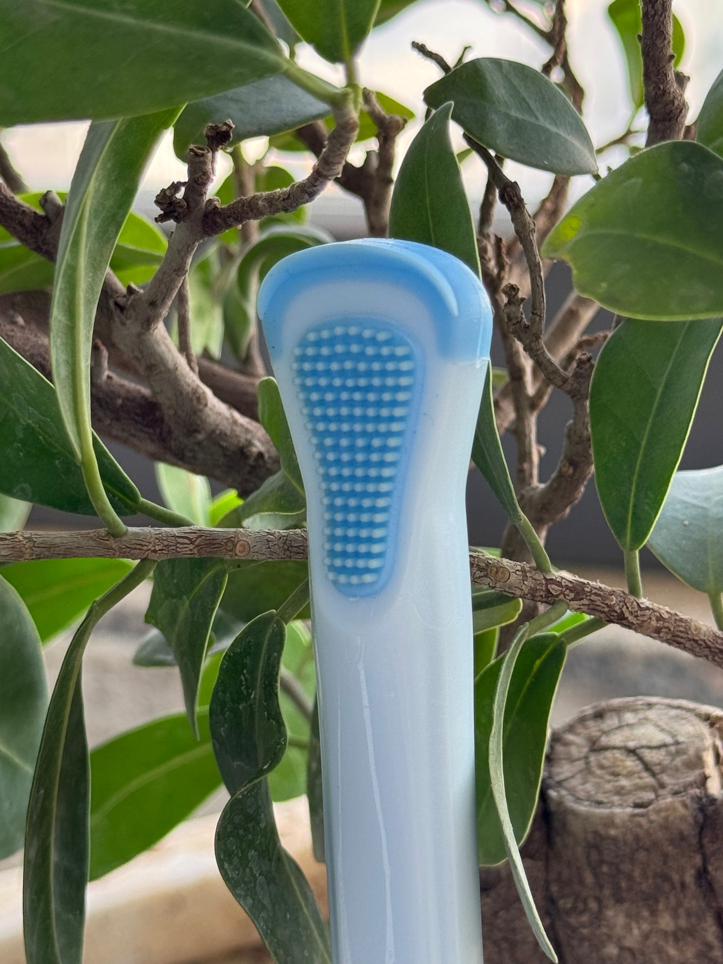 Blue and white cleaning brush against a natural background with green leaves and branches.
