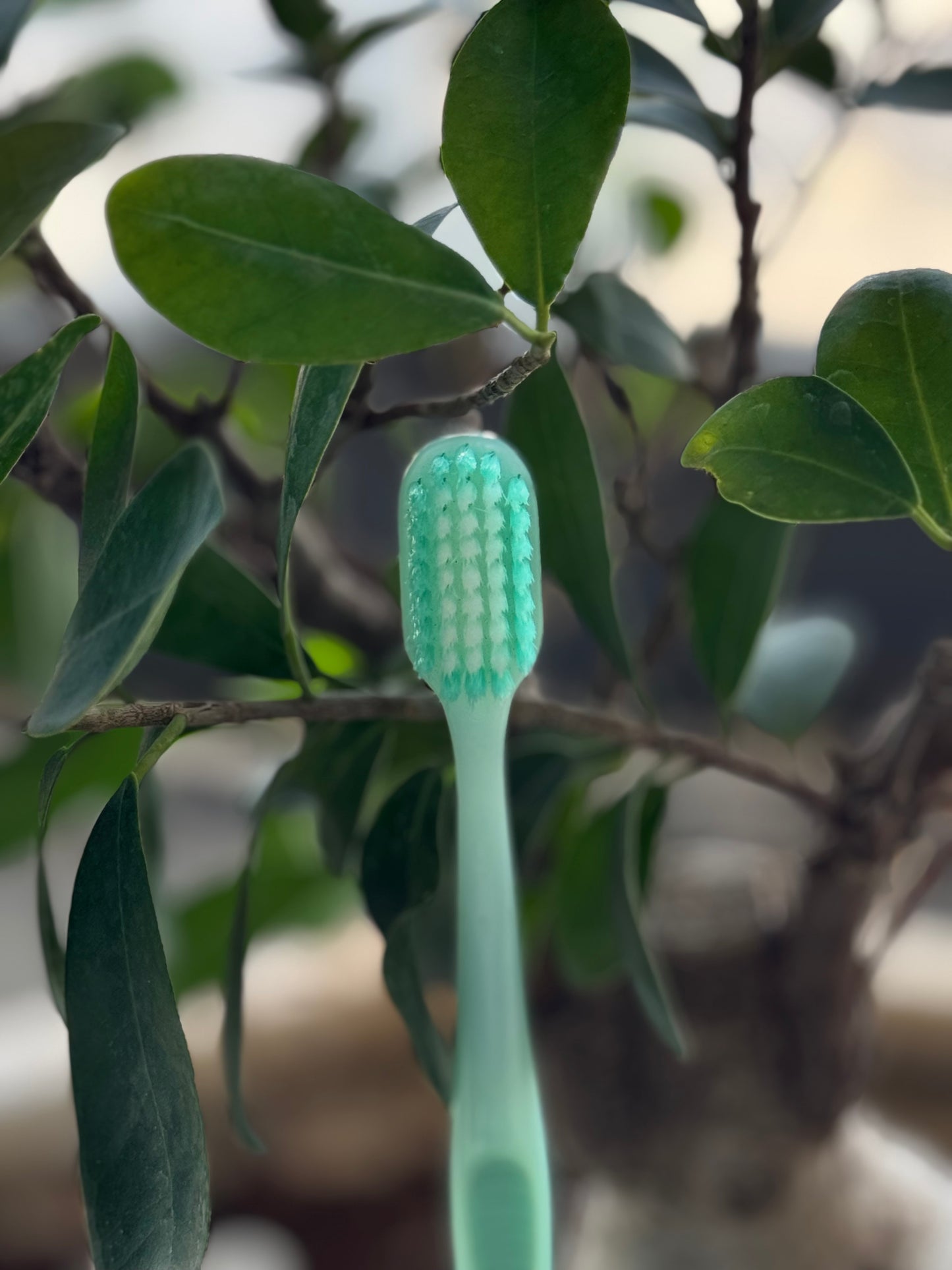 Green toothbrush with bristles against a natural background