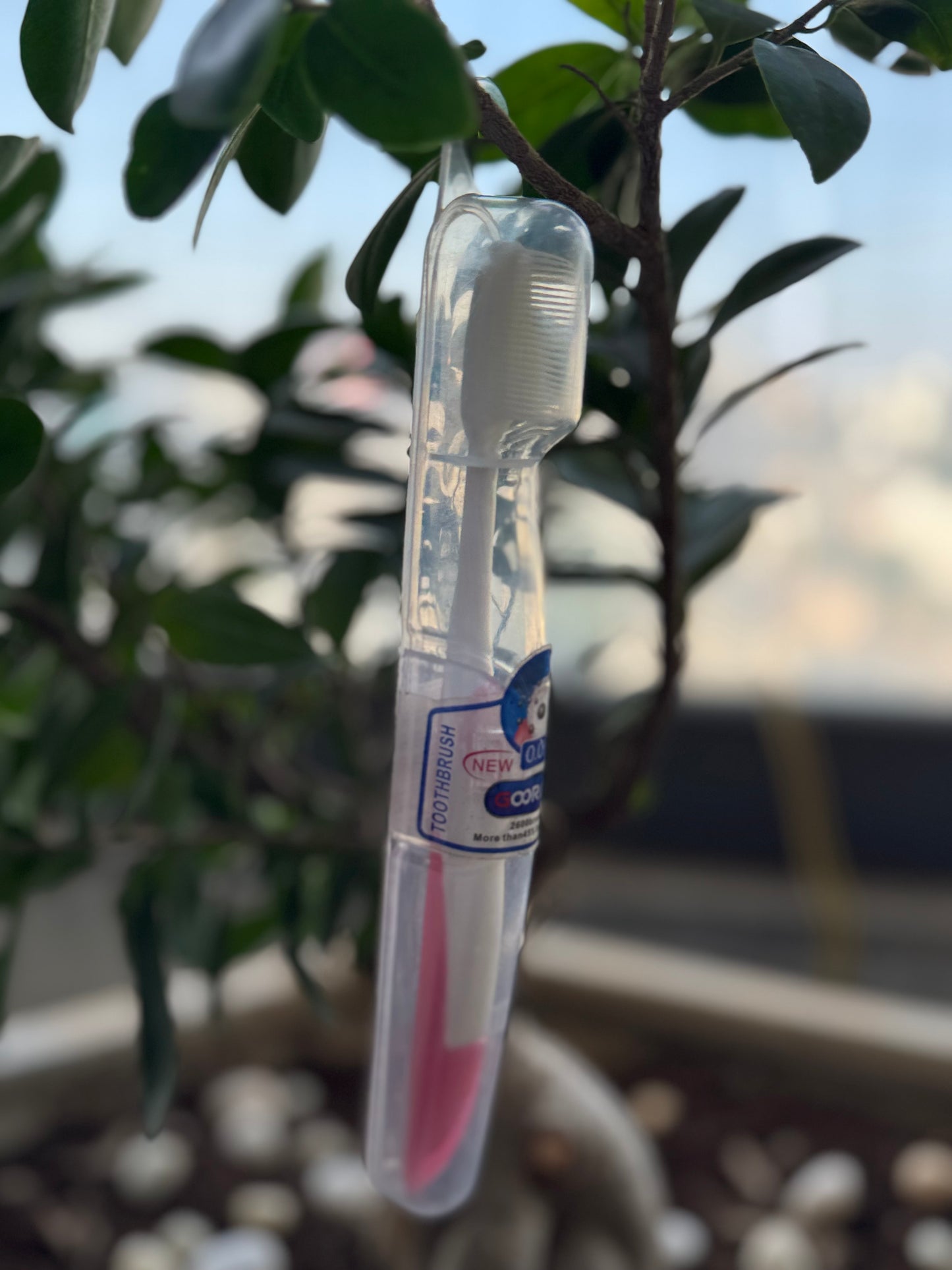 New Oral-B toothbrush in packaging hanging from a tree branch with a blurred background