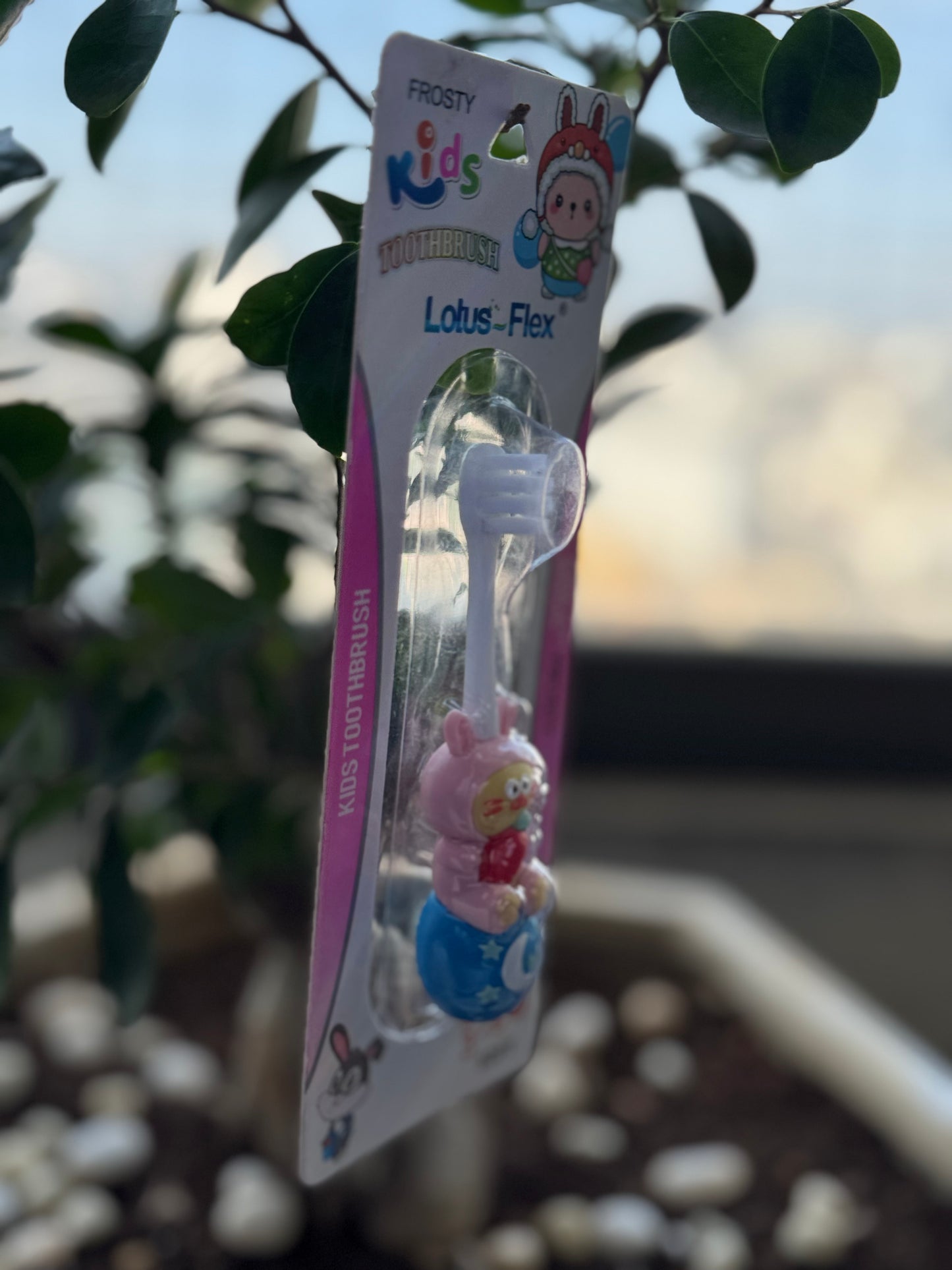 Children's toothbrush with packaging featuring cartoon characters, hanging outdoors.