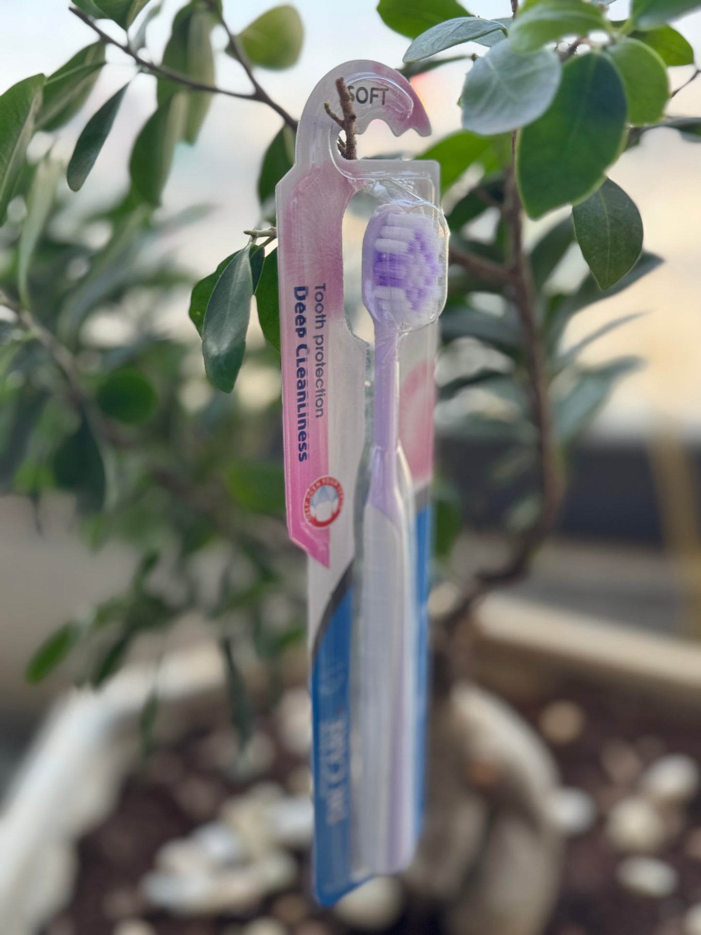Toothbrush with packaging hanging on a tree branch