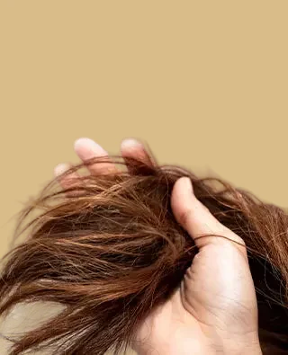 Damage Defence