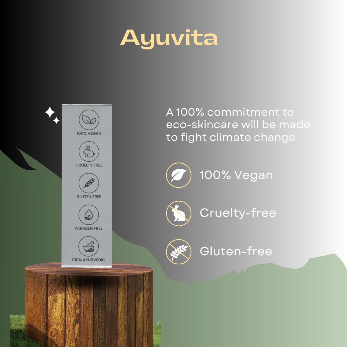 Ayuvita Black Color Hair Dye