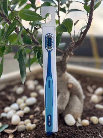 Blue and white toothbrush with bristles facing upwards, set against a natural background with plants and stones.