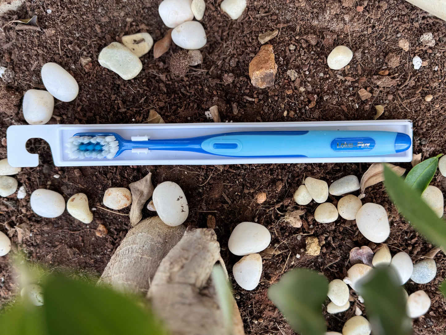 Blue toothbrush in a white holder on a bed of small stones and soil