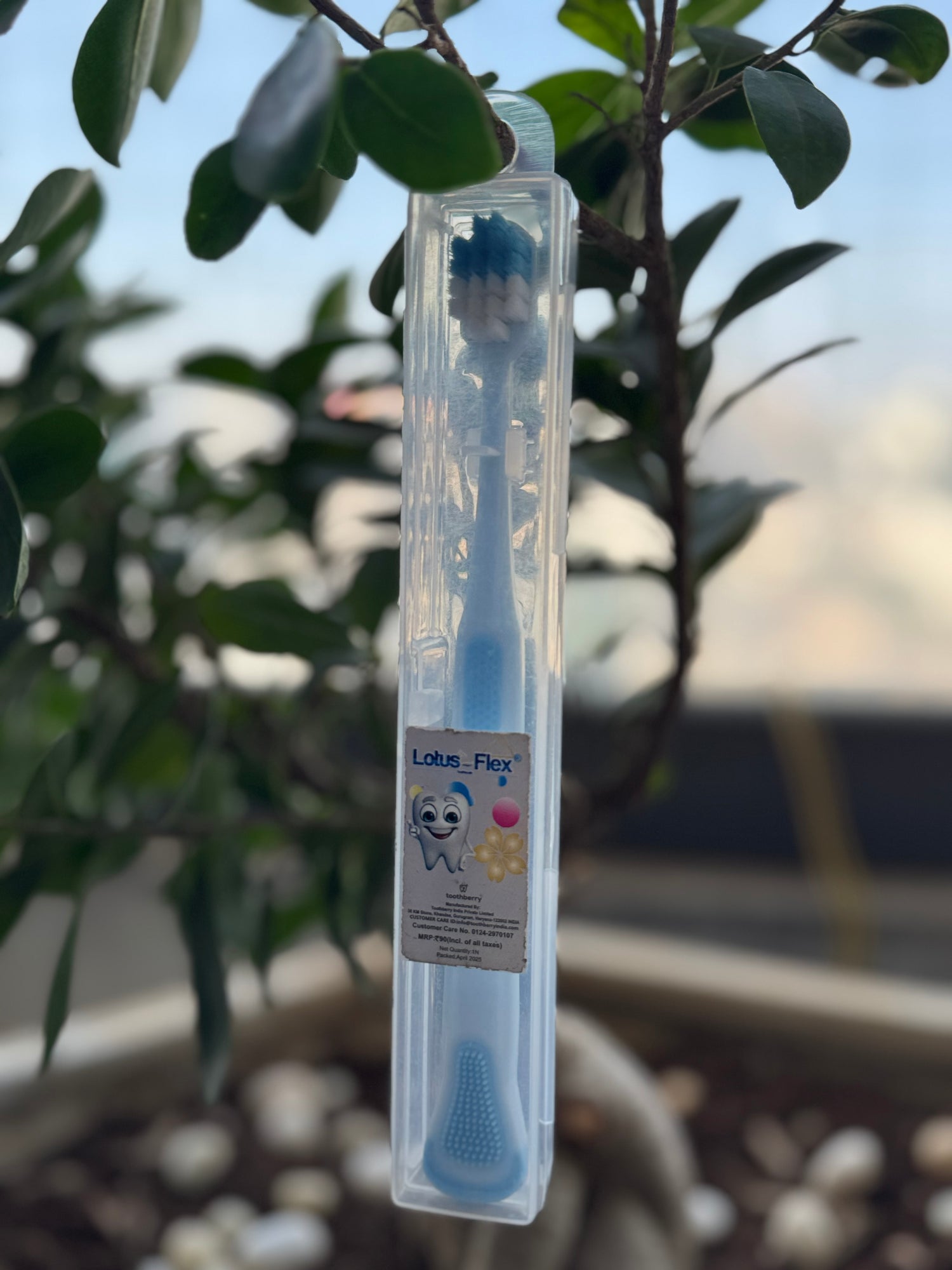 Children's toothbrush with packaging in front of a blurred plant background